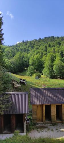 two small buildings in a field with a mountain at Dulović - KATUN POTOCI in Kolašin