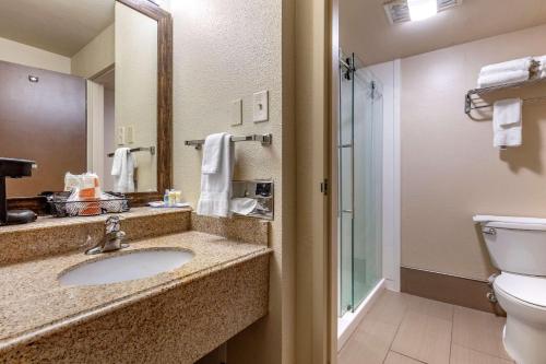 Et badeværelse på Comfort Inn Santa Rosa on Route 66
