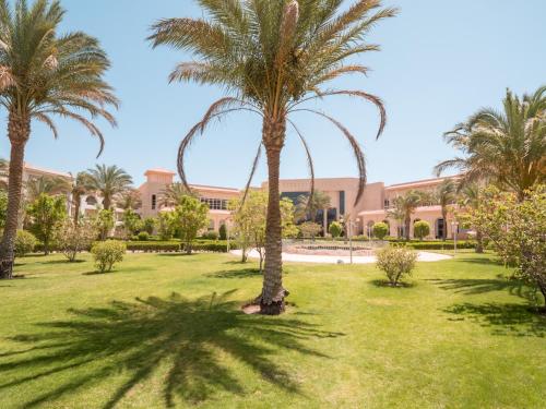 a group of palm trees in a park at Serenity Alma Heights - Ex Serenity Fun City in Hurghada