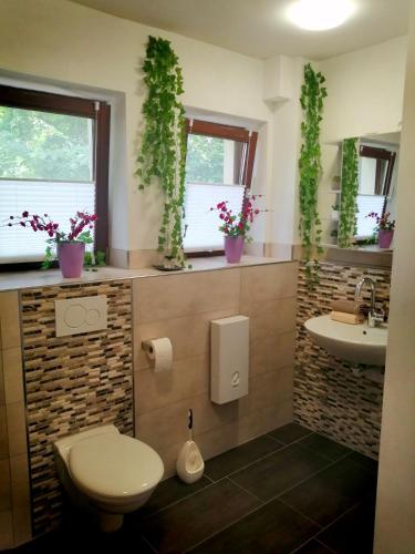 a bathroom with a toilet and a sink and two windows at Lighane's Studio with Sailor Moon Room in Nürnberg