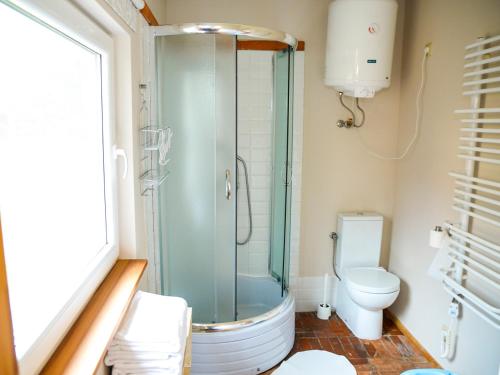 a bathroom with a shower and a toilet at tuŻur domki nad potokiem in Osie