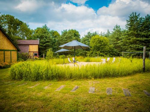a patio with an umbrella and chairs in a field at tuŻur domki nad potokiem in Osie