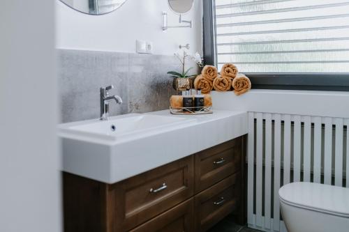 A bathroom at Apartmány Evia clinic