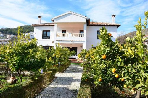 Beautiful Villa swimming pool close to Granada i Cónchar ...