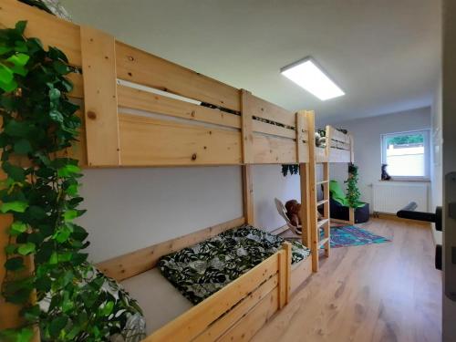 a room with two bunk beds and a plant at Haus Chiara in Bad Kissingen