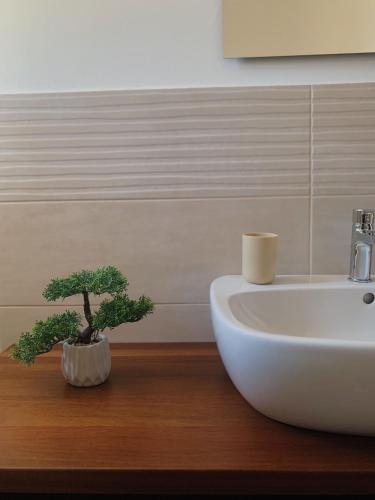a bathroom with a white sink and a bonsai plant at Terra di Suli in Custonaci
