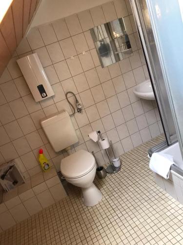 a bathroom with a toilet and a shower stall at Penthouse Mosel Huntress in Gornhausen
