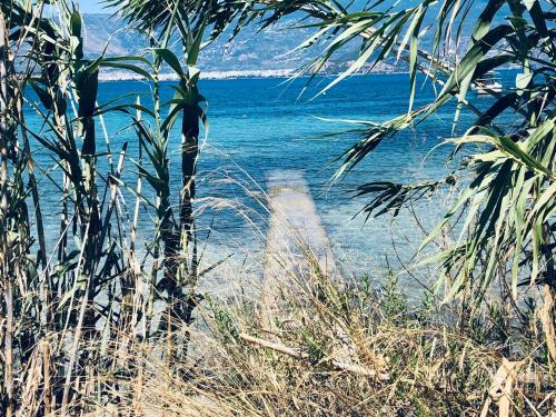 Φυσικό τοπίο κοντά σε αυτό το διαμέρισμα