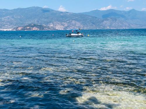 Φυσικό τοπίο κοντά σε αυτό το διαμέρισμα