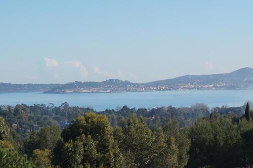 グリモーにあるLes Restanques du Golfe de Saint Tropezの手前に樹木が植えられた湖の景色