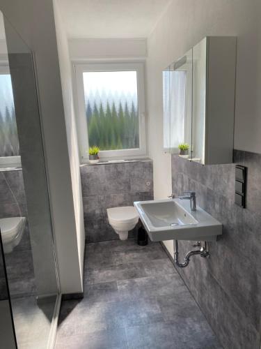 une salle de bain avec un lavabo et des toilettes et une fenêtre dans l'établissement Helle moderne Ferienwohnung, Nähe Koblenz am Rhein, à Weitersburg