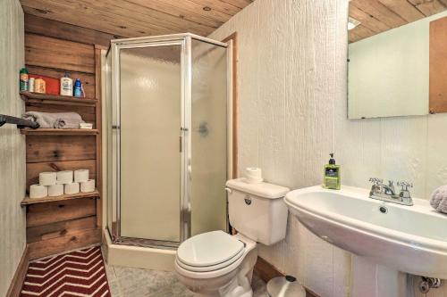 a bathroom with a shower and a toilet and a sink at Deck and Game Room Lakefront Landrum Cabin! in Landrum