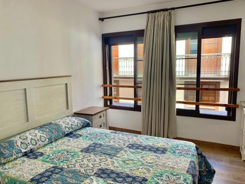 聖克魯斯－德拉帕爾馬的住宿－Centro Ciudad，一间卧室设有一张床和两个窗户。