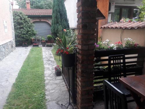 Κήπος έξω από το Villa Iva
