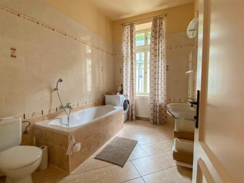 a bathroom with a tub and a toilet and a sink at Apartmá Marie 1880 in Karlovy Vary