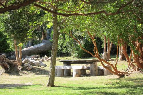 Jardín al aire libre en Arrayanes