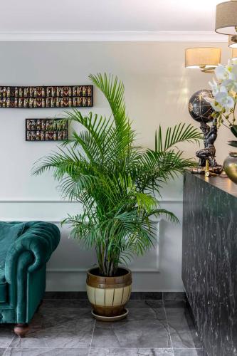 a potted plant in a room with a green couch at LAGUN CASTLE HOTEL&SPA in Yalova