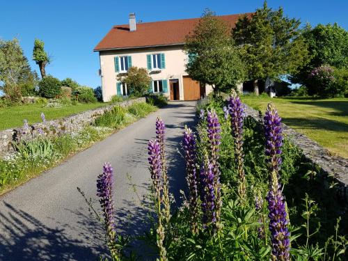 ein Haus mit lila Blumen vor einer Straße in der Unterkunft La Pause Ô Logis in Saint-Laurent-du-Jura