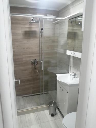 a bathroom with a shower and a toilet and a sink at Vila Leolaz in Višegrad