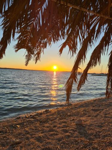 a sunset on the beach with a palm tree at Apartment Maris Nin in Nin