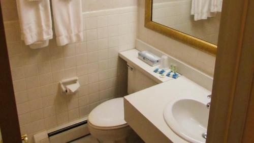 a bathroom with a toilet and a sink and a mirror at Magnuson Grand Pioneer Inn and Suites in Escanaba