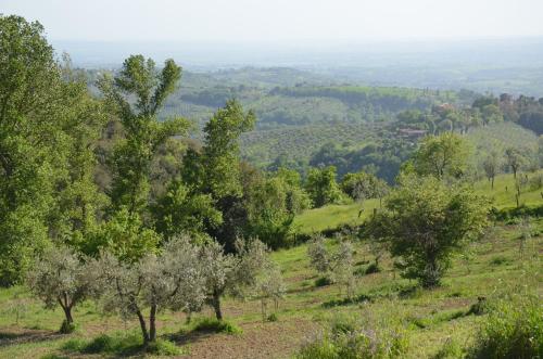 Un paisaje natural cerca de la casa vacacional