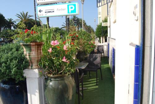 a group of plants in vases on a patio at Hôtel Azur in Nice