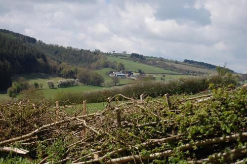 a fence in a field with a house in the distance at Middle Woodbatch B&B in Bishops Castle