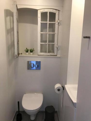 a bathroom with a white toilet and a window at Poolhouse, no smoking everywhere in Kvistgård