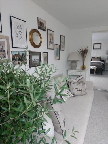 un salon avec un canapé et une plante dans l'établissement Naktakės apartamentai, à Kupiškis