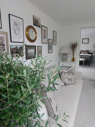 a living room with a couch and a plant at Naktakės apartamentai in Kupiškis