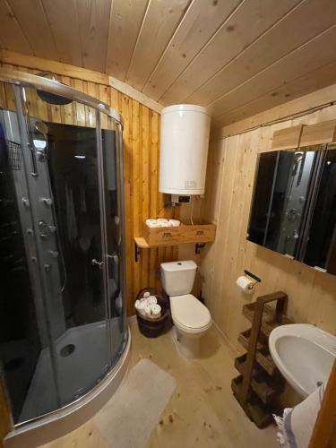 a bathroom with a shower and a toilet and a sink at Rożnów domek pod Zamkiem in Rożnów
