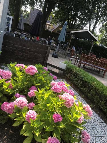 a bunch of pink flowers in front of a bench at Hotel Jans in Rijs
