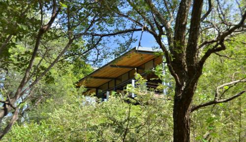 a house is seen through the trees at Greenfire Game Lodge in Balule Game Reserve