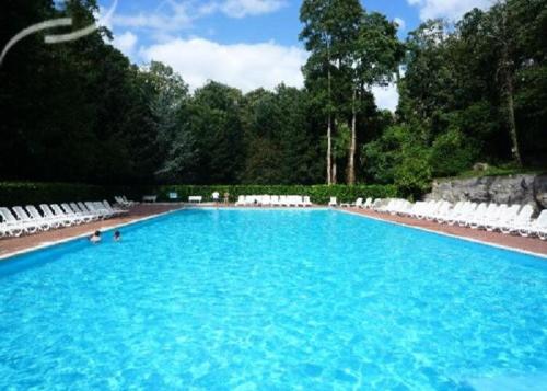 une grande piscine bleue avec des chaises et des arbres blancs dans l'établissement mobil home, à Saint-Chéron