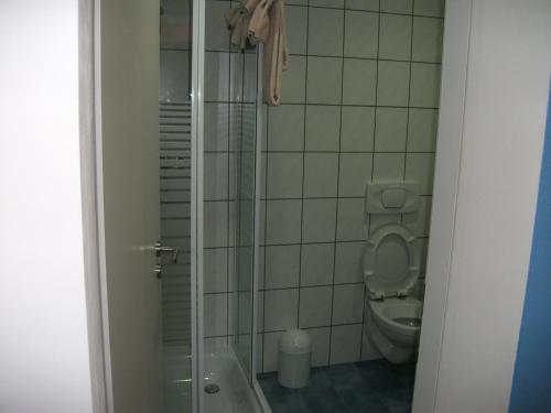 a bathroom with a toilet and a shower stall at Deutsches Haus in Springe