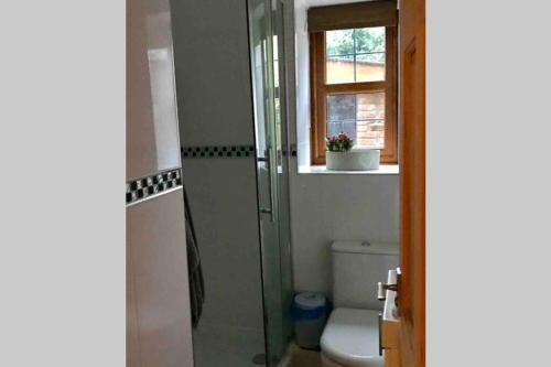 a bathroom with a shower and a toilet and a window at Cwtch Bach - Garnant in Ammanford