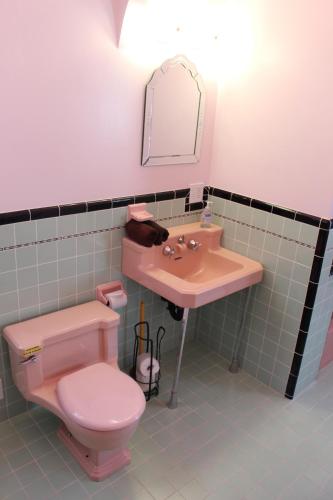 a bathroom with a pink toilet and a sink at Hicksville Pines Chalets & Motel in Idyllwild