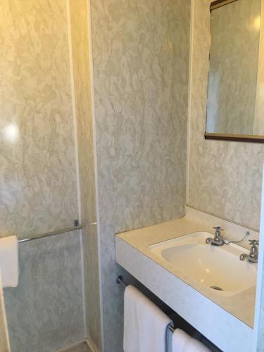 a bathroom with a sink and a mirror at Leviathan Hotel in Dunedin