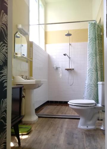 une salle de bain avec toilettes et lavabo dans l'établissement Bazar du Nouveau Siècle, à Montréjeau