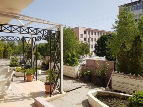 a patio with a bunch of potted plants at Vila Essel in Korçë