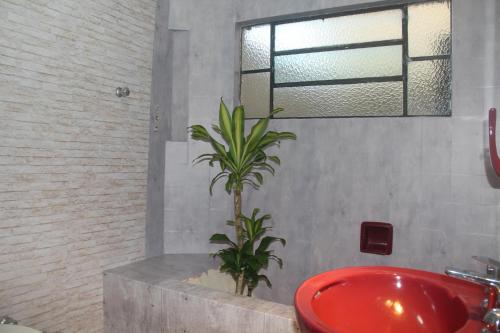 a bathroom with a red sink and a plant at Mais Incrível Localização de Gramado in Gramado