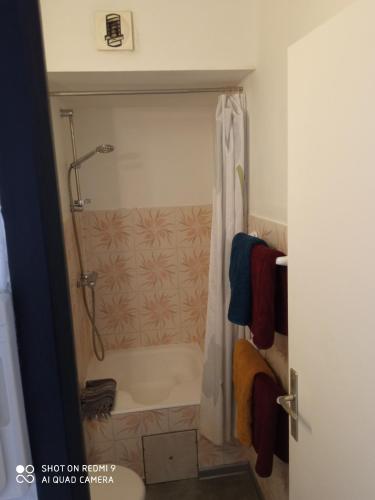 une salle de bain avec douche et baignoire dans l'établissement Residence Saint Clair - Studio Elena, au Cap d'Agde