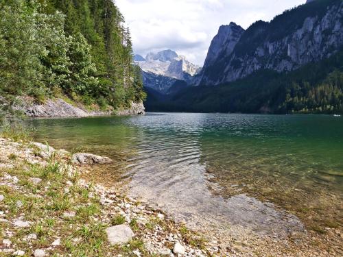 a body of water with trees and mountains at Apartments Fasl in Gosau