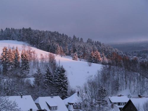 Bio-Hotel Zum Forsthaus semasa musim sejuk