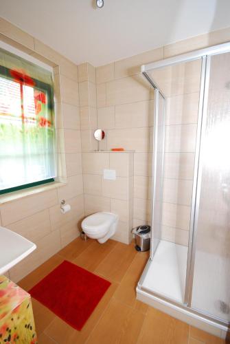 a bathroom with a shower and a toilet and a sink at Ferienhof "Zum Spreewäldchen" in Burg