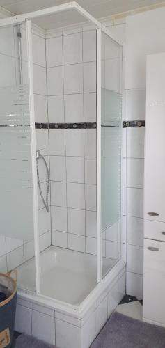 a shower with a glass enclosure in a bathroom at Ferienwohnung in Gristow in Mesekenhagen