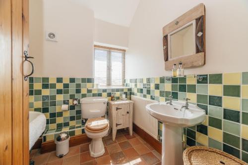 a bathroom with a toilet and a sink and a mirror at Swallow Barn at Millfields Farm Cottages in Ashbourne