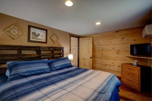 a bedroom with a large bed and a television at Dragon's Nest Cabin with Mountain Views in Robbinsville