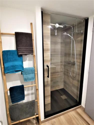 a shower with a glass door in a bathroom at Les Terrasses Levantines in Île du Levant